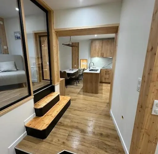 Le Refuge Des Skieurs Dore 4/6pers Apartamento *